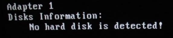 Не загружается компьютер no-hard-disk-detected